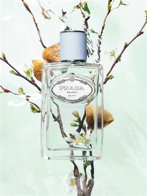 prada infusion amande|prada almond.